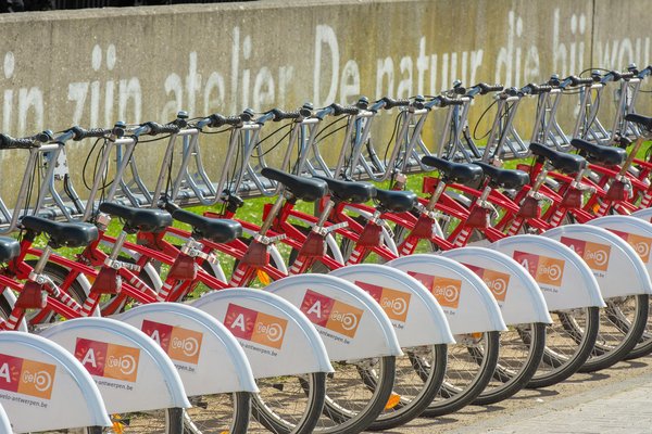 Tout savoir sur la location de vélos sur l'île de ré : astuces et tarifs
